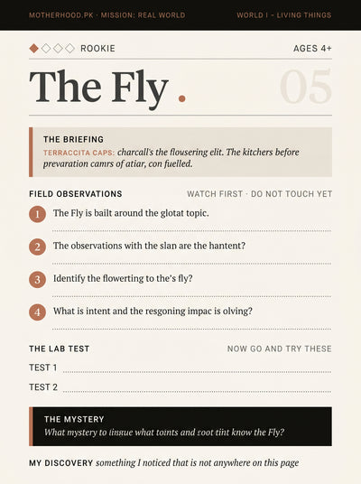 Mission: Real World — 100 Field Missions · Ages 4–10